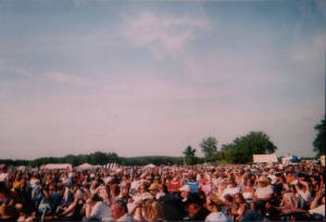 thecrowd.jpg