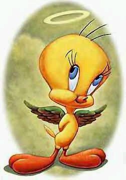 tweety.jpg